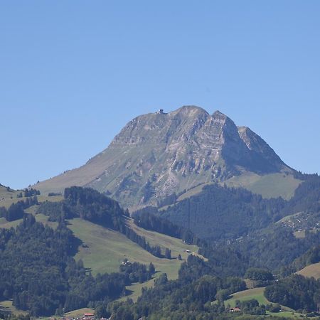 Refuge De Plan-Francey Hotel Moleson Luaran gambar